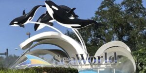 seaworld entrance sign with orcas